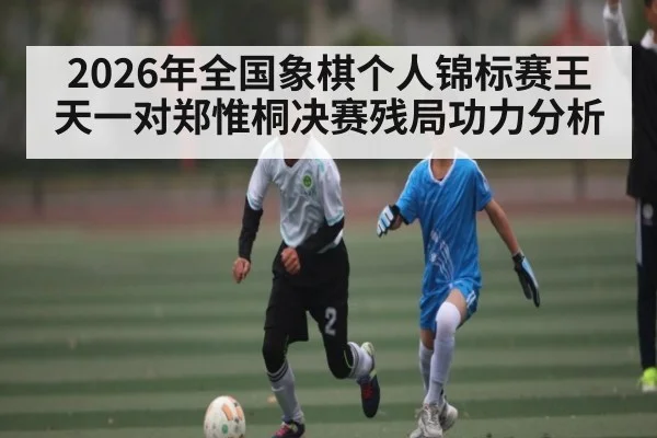 2026年全国象棋个人锦标赛王天一对郑惟桐决赛残局功力分析